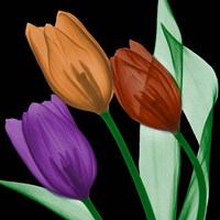 Jeweled Tulips 4 Fine Art Print