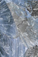 Butterfly Habitat Fine Art Print