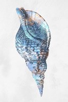 Urban Sea Shell 3 Fine Art Print
