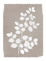 Natural Silhouetted Growth 2 Fine Art Print