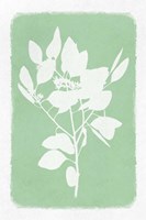 Soft Botanical Feelings 1 Fine Art Print