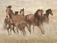 Running Free 1 Fine Art Print