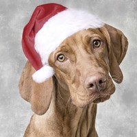 Christmas Pup 1 Fine Art Print