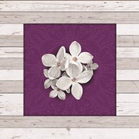 Jane's Tray 1 Fine Art Print