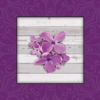 Jane's Tray 2 Fine Art Print