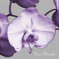 Thankful Orchids Framed Print