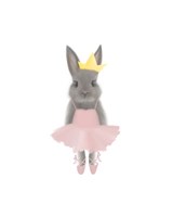 Full Body Ballet Bunny Framed Print