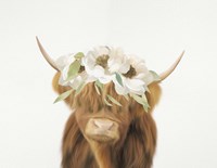Highland Cow Fine Art Print