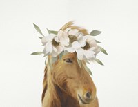 Floral Horse Fine Art Print