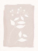 Blushed Fine Art Print