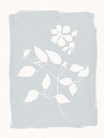 Pressed Daisies Fine Art Print