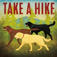 Take a Hike Lab II Fine Art Print