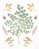 Forest Finds VIII Framed Print