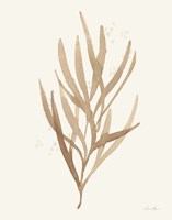 Leaf and Stem VII Fine Art Print