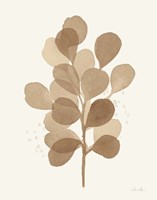 Leaf and Stem V Fine Art Print