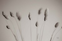 Natural Grasses Fine Art Print