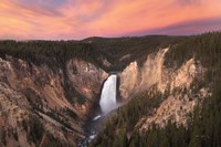 Lower Falls of the Yellowstone River I Fine Art Print