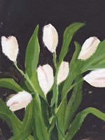 White Tulips on Black (1) Framed Print