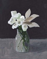 White Blooms Fine Art Print