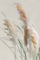 Neutral Pampas Grasses II Fine Art Print