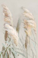 Neutral Pampas Grasses III Fine Art Print
