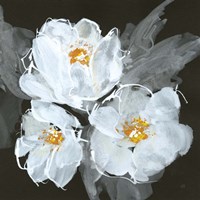 Poppies I Framed Print