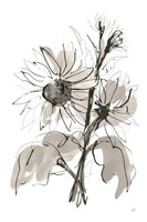 Ink Sunflower I Fine Art Print