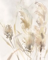 Light Pampas Grasses III Fine Art Print