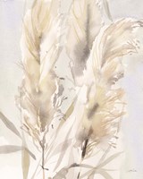 Light Pampas Grasses II Fine Art Print