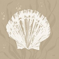Seaside Style XV Shell Fine Art Print