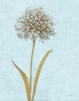 Shimmering Summer I REB Crop Framed Print