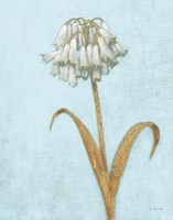 Shimmering Summer II REB Crop Framed Print