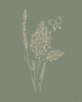 Among Wildflowers I Sage Framed Print