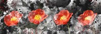 Poppy Panel Fine Art Print