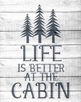 Lake House 6 Fine Art Print