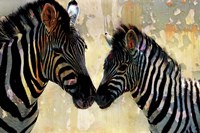 Zebra Love Fine Art Print