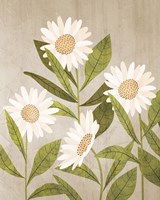 Daisies 1 Fine Art Print