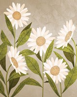 Daisies 2 Fine Art Print