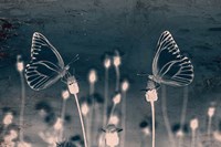 Butterfly Love Fine Art Print