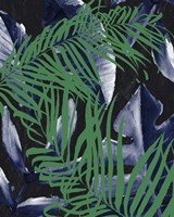 Tropic Palms 2 Framed Print
