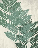 Fern 1 Greens Fine Art Print