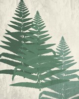 Fern 2 Greens Fine Art Print