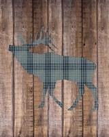 Elk Woods Fine Art Print