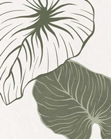 Serenity Palm 1 Fine Art Print