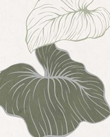 Serenity Palm 2 Fine Art Print