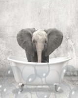 Baby Elephant Bath Fine Art Print