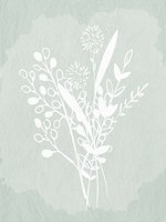 Floral Sketch 1 Fine Art Print