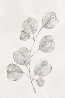 Spotted Botanical 3 Fine Art Print