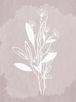 Floral Sketch 2 Fine Art Print