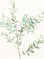 Branch 2 Fine Art Print